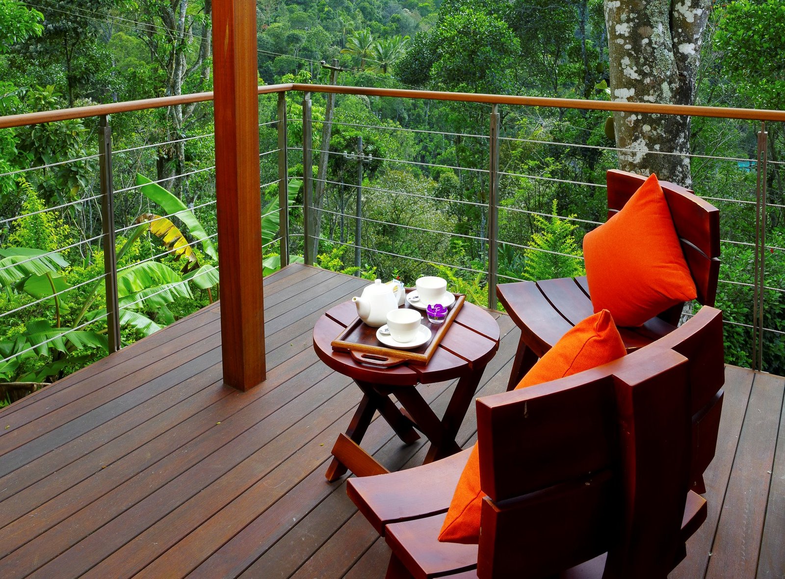 Niraamaya Wellness Retreats bags multiple awards for its retreats in Kerala, adjudged TripAdvisor’s Travellers’ Choice – Best of the Best for year 2022