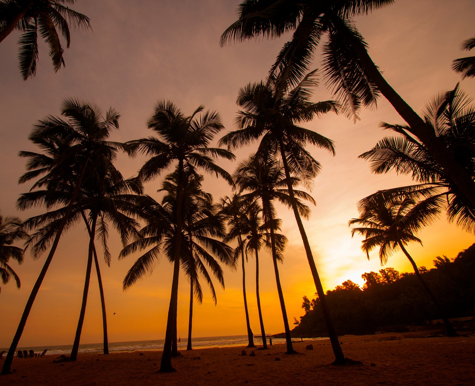 Espire Hospitality Group expands footprint with a new signing of a Country Inn Resort in Goa