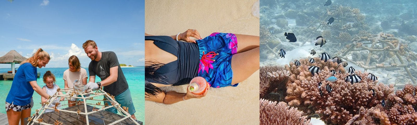 Celebrating Nature’s Bounty and Spreading Awareness for a Better Tomorrow